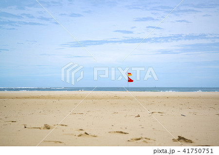 ボルネオ島のビーチ 41750751