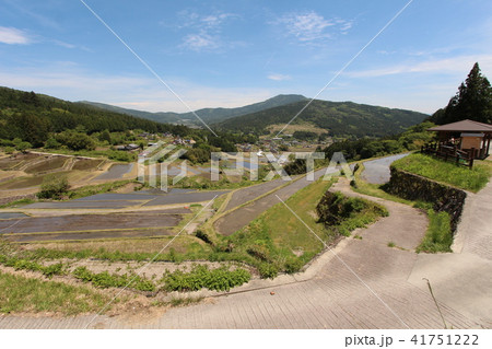 坂折棚田 坂折棚田 41751222