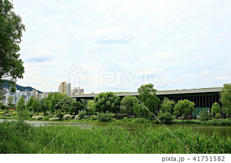 順天湾庭園 全羅南道 韓国 41751582