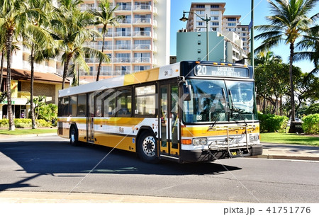 ハワイの休日 41751776