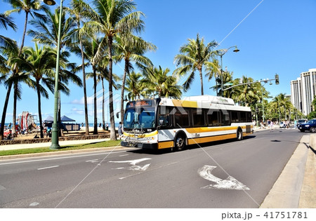 ハワイの休日 41751781