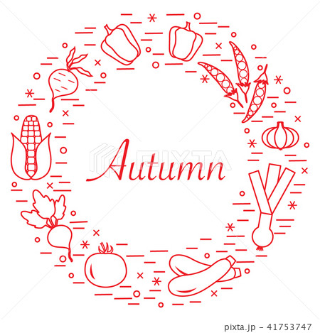 different autumn seasonal vegetables arranged in a different autumn seasonal vegetables arranged in a 41753747
