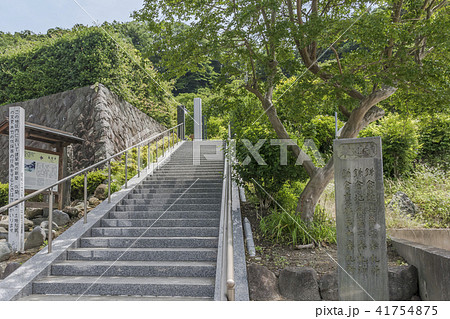 来迎寺(鎌倉市西御門) 来迎寺(鎌倉市西御門) 41754875