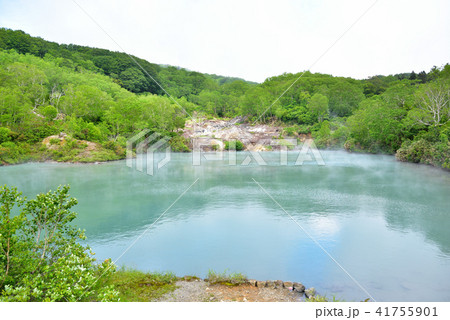 酸ヶ湯温泉 地獄沼 酸ヶ湯温泉 地獄沼 41755901