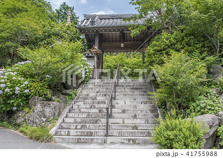 覚園寺（鎌倉市二階堂） 41755988