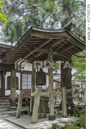 覚園寺 愛染堂(鎌倉市二階堂) 覚園寺 愛染堂(鎌倉市二階堂) 41756239