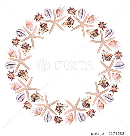 Round frame from different sea shells on a white background 41756324