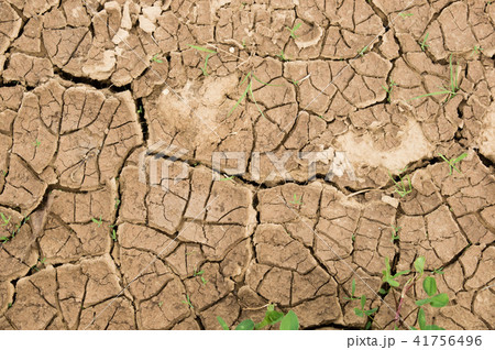The dried up cracked earth. texture of the earth  41756496