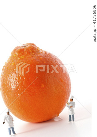 パティシエ　コック　料理人　 41756906