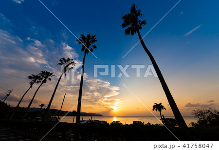 大浜海浜公園 大浜海浜公園 41758047