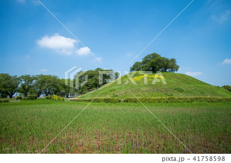 新緑のさきたま古墳群丸墓古墳 新緑のさきたま古墳群丸墓古墳 41758598