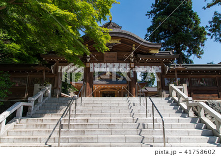 高麗神社神門と新緑 高麗神社神門と新緑 41758602