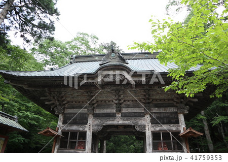 榛名神社　随神門 41759353