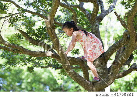 Girls climbing trees - Stock Photo [41760831] - PIXTA