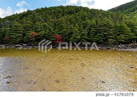 北八ヶ岳・亀甲池の風景 北八ヶ岳・亀甲池の風景 41761079