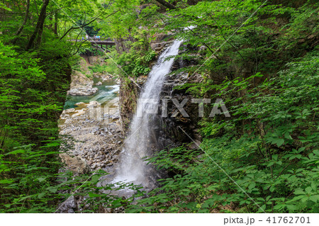 栃木県日光市 龍王峡 虹見の滝(5月) 栃木県日光市 龍王峡 虹見の滝(5月) 41762701