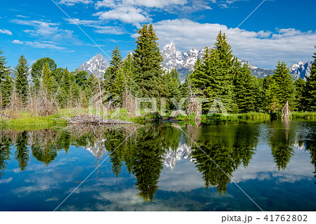 Mountains in Grand Teton National Park  41762802