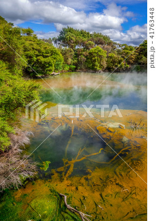 Hot springs lake in Rotorua, New Zealand Hot springs lake in Rotorua, New Zealand 41763448