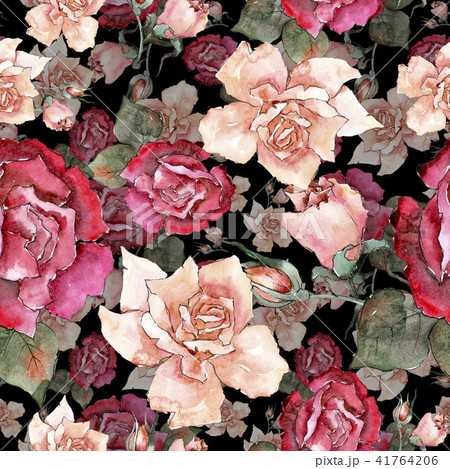 Colorful roses. Floral botanical flower.Seamless background pattern. Colorful roses. Floral botanical flower.Seamless background pattern. 41764206