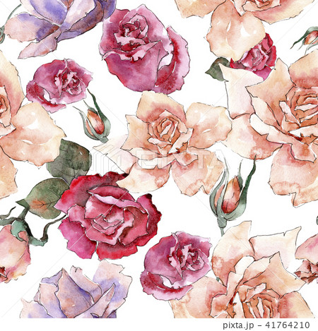 Colorful roses. Floral botanical flower.Seamless background pattern. Colorful roses. Floral botanical flower.Seamless background pattern. 41764210