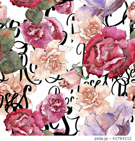 Colorful roses. Floral botanical flower.Seamless background pattern.  41764212