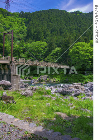 新緑の御岳渓谷 御岳小橋 新緑の御岳渓谷 御岳小橋 41764749