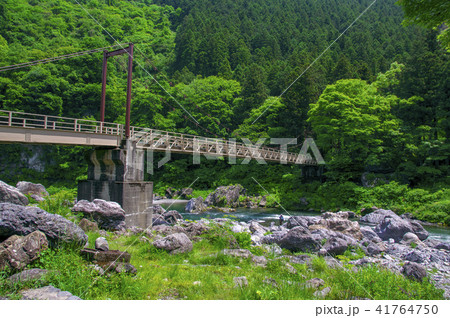 新緑の御岳渓谷　御岳小橋 41764750