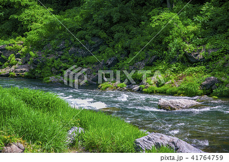新緑の御岳渓谷 新緑の御岳渓谷 41764759