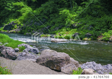 新緑の御岳渓谷 新緑の御岳渓谷 41764760
