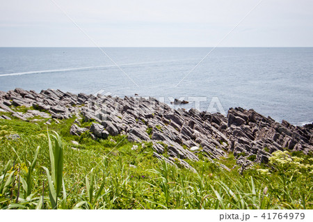 雄島 岩場4 41764979