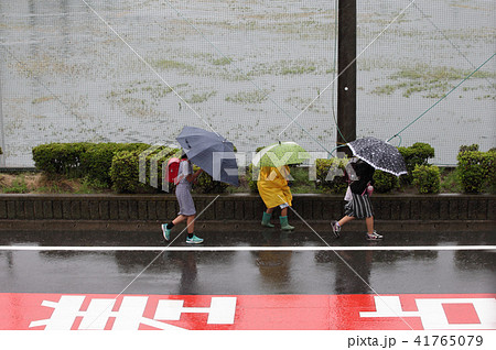 雨の日に傘をさして小学生が集団登校 41765079