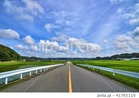 千葉県 館山市 田園を貫く安房グリーンライン 千葉県 館山市 田園を貫く安房グリーンライン 41765110