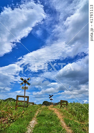 千葉県 いすみ鉄道 第二五之町踏切 千葉県 いすみ鉄道 第二五之町踏切 41765113