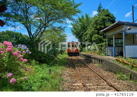 千葉県　いすみ鉄道　アジサイ咲く小谷松駅 41765119