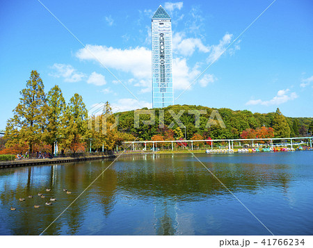 秋の東山動植物園 秋の東山動植物園 41766234