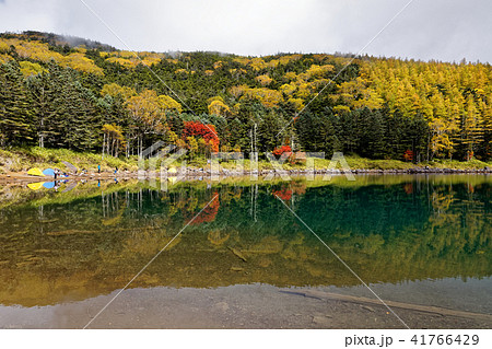 北八ヶ岳・双子池(雌池)の紅葉 北八ヶ岳・双子池(雌池)の紅葉 41766429