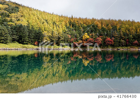 北八ヶ岳・双子池(雌池)の紅葉 北八ヶ岳・双子池(雌池)の紅葉 41766430