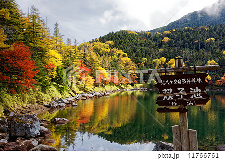 北八ヶ岳 双子池 雄池 の紅葉の写真素材