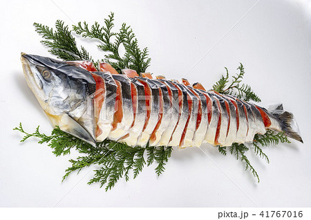 鮭の切り身 41767016