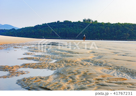 Seaside with sand dunes and colorful sky at sunset Seaside with sand dunes and colorful sky at sunset 41767231