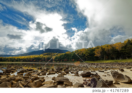 秋の北八ヶ岳・雨池の風景 秋の北八ヶ岳・雨池の風景 41767289