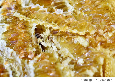 天然巣蜜（森の宝物！））美容　健康　美白　長寿　素材 41767367