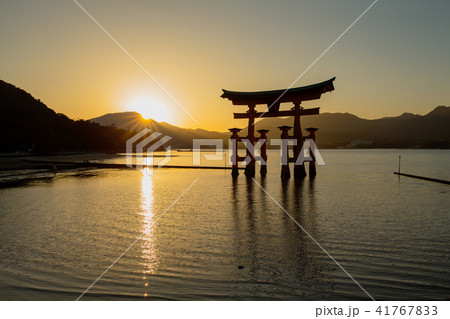 厳島神社の大鳥居(春の夕暮、夕日が海に伸びるとき) 厳島神社の大鳥居(春の夕暮、夕日が海に伸びるとき) 41767833