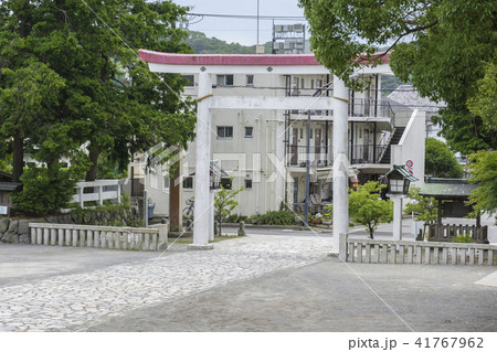 鎌倉宮（鎌倉市二階堂） 41767962