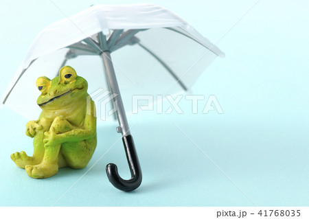 雨の時期ですね。 41768035