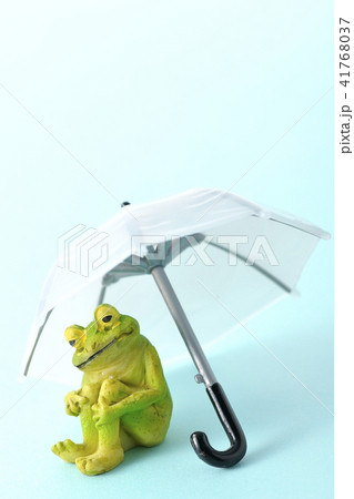 雨の時期ですね。 雨の時期ですね。 41768037