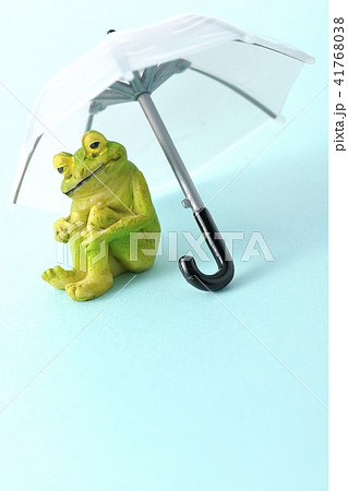 雨の時期ですね。 雨の時期ですね。 41768038