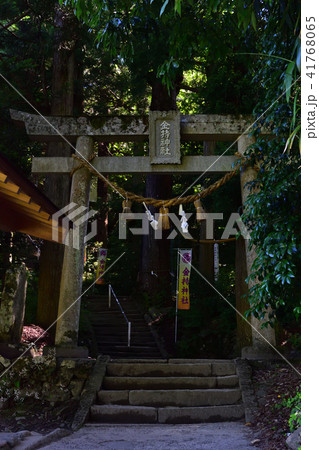 金持神社の鳥居 金持神社の鳥居 41768065