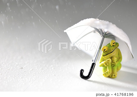 雨が降ってきました。 41768196