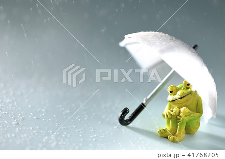 雨が降ってきました。 雨が降ってきました。 41768205